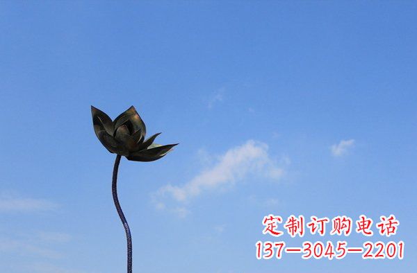 杭州公园不锈钢荷花雕塑