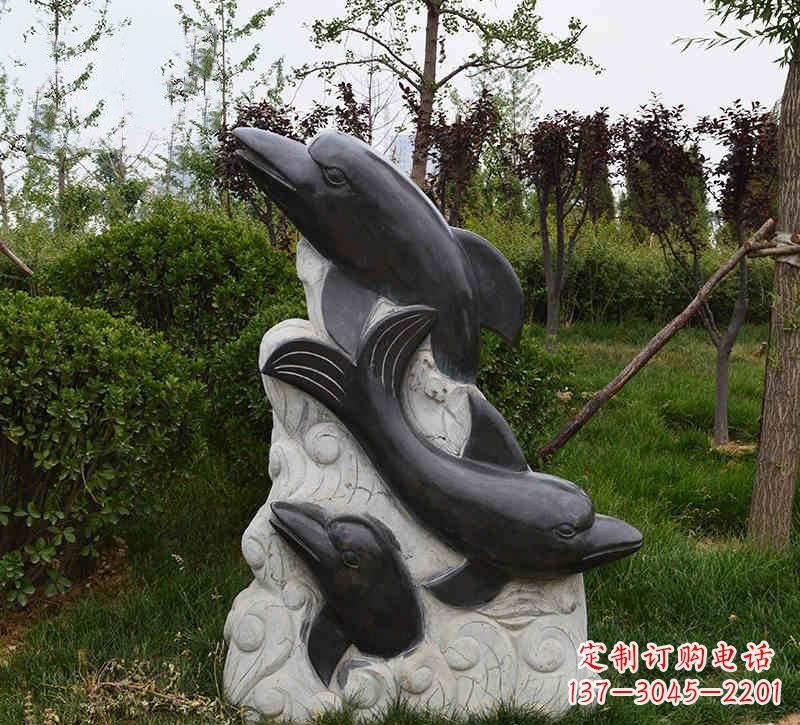 杭州海豚石浮雕